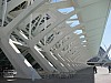 iessv_2009_03__valencia30.JPG