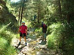 iessv_2013_06_RinconBello_05