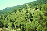 iessv_2013_06_RinconBello_22