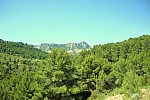 iessv_2013_06_RinconBello_23