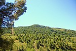 iessv_2013_06_RinconBello_24