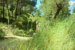 iessv_2013_06_RinconBello_30