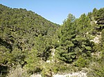 iessv_2013_06_RinconBello_47