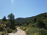 iessv_2013_06_RinconBello_53